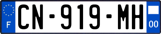 CN-919-MH