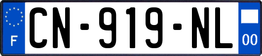 CN-919-NL