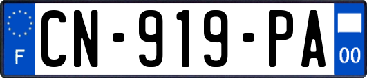 CN-919-PA