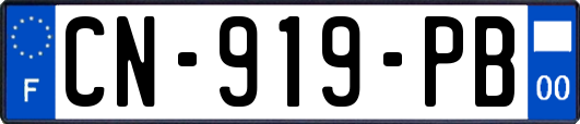 CN-919-PB