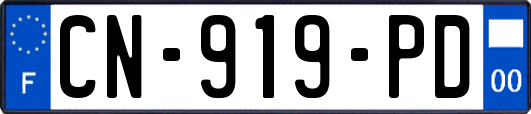 CN-919-PD
