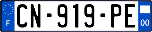 CN-919-PE