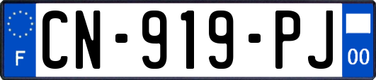 CN-919-PJ