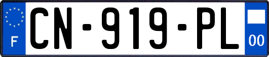 CN-919-PL