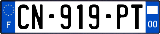 CN-919-PT
