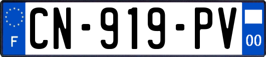 CN-919-PV