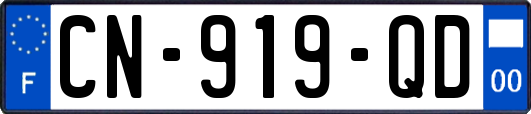 CN-919-QD