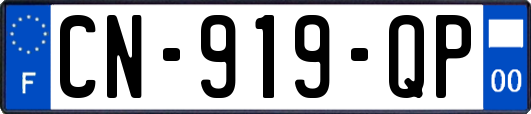 CN-919-QP