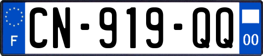CN-919-QQ