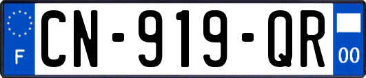 CN-919-QR