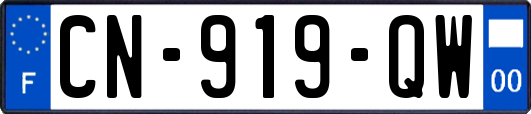 CN-919-QW