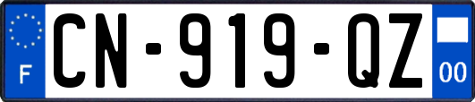 CN-919-QZ