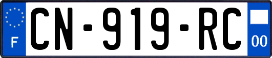 CN-919-RC