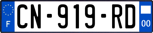 CN-919-RD