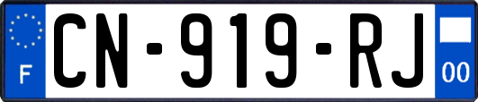 CN-919-RJ