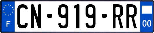 CN-919-RR