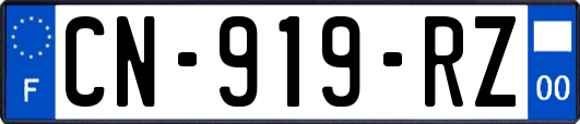 CN-919-RZ