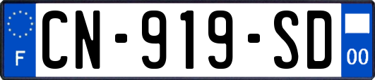 CN-919-SD