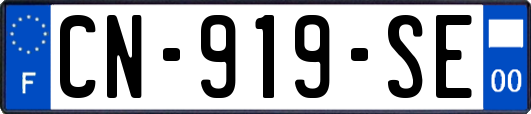 CN-919-SE
