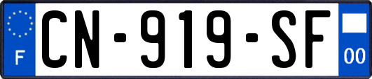 CN-919-SF