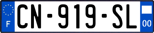 CN-919-SL