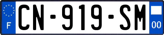CN-919-SM