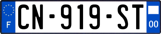 CN-919-ST