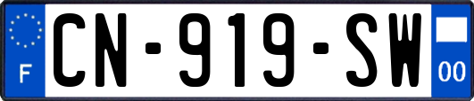 CN-919-SW