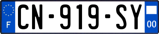 CN-919-SY