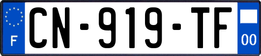CN-919-TF
