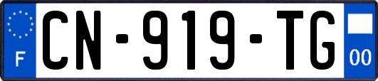 CN-919-TG