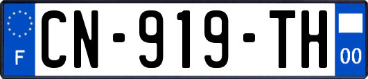 CN-919-TH