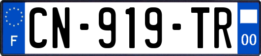 CN-919-TR