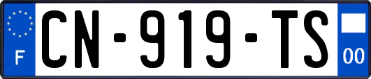 CN-919-TS