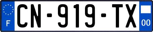 CN-919-TX