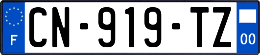 CN-919-TZ