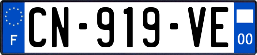 CN-919-VE