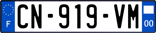 CN-919-VM