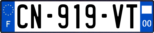 CN-919-VT