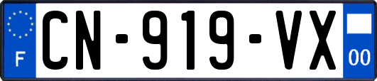 CN-919-VX