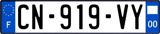 CN-919-VY