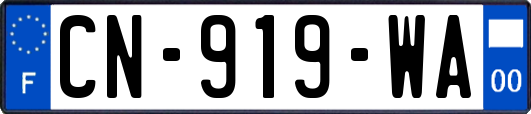 CN-919-WA