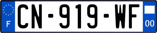 CN-919-WF