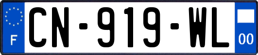 CN-919-WL