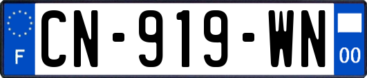 CN-919-WN