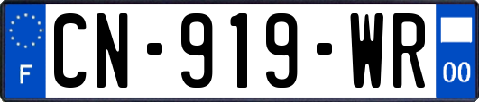 CN-919-WR