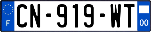 CN-919-WT