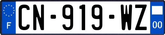 CN-919-WZ