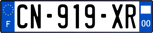 CN-919-XR