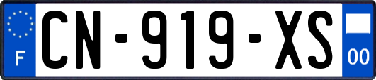 CN-919-XS